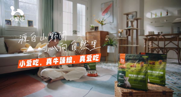 产品宣传视频：宠物猫
